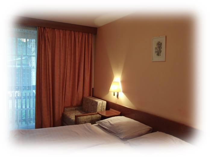 Hotel Prom Svoboda nad Úpou Δωμάτιο φωτογραφία